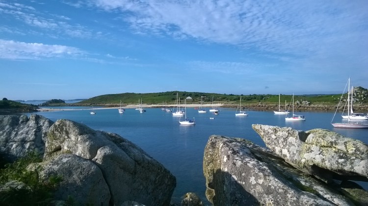 WP_20170706_19_07_46_Pro