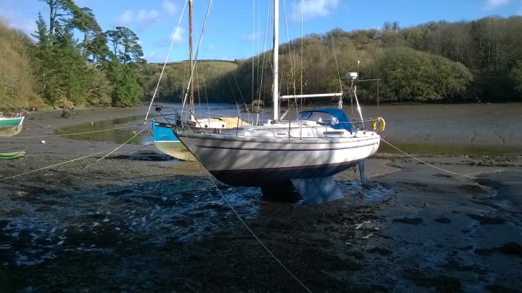 WP_20180308_15_24_52_Pro