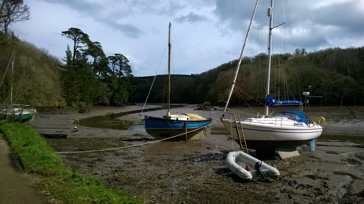 WP_20180330_14_17_38_Pro