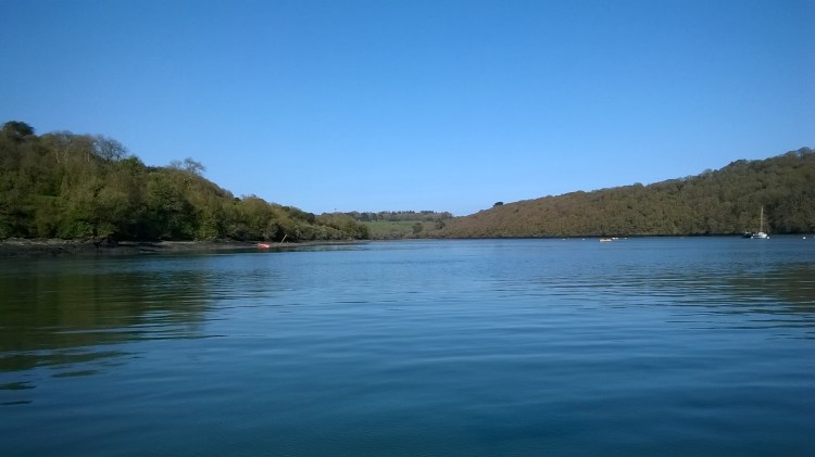 WP_20180420_17_43_25_Pro