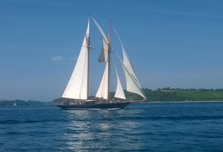 WP_20180519_12_04_23_Pro