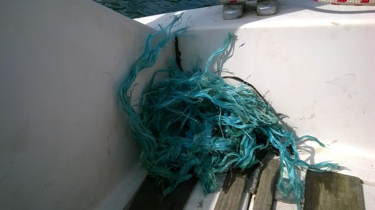 WP_20180610_09_56_32_Pro