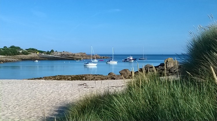 WP_20180624_08_03_07_Pro