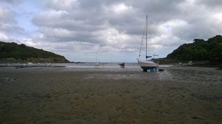 WP_20180910_12_53_12_Pro