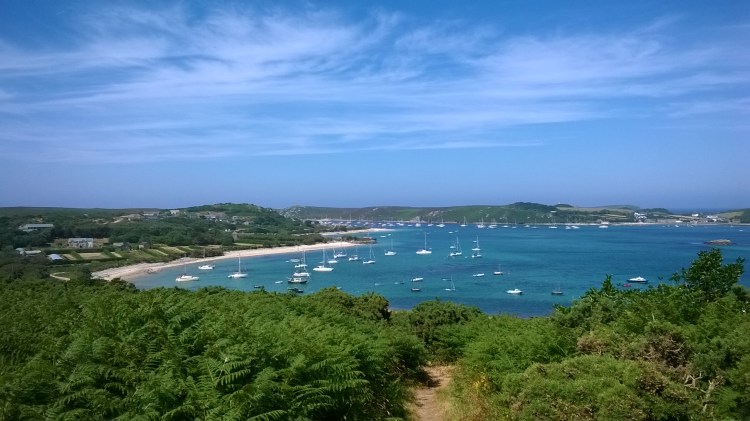 WP_20180627_15_26_21_Pro