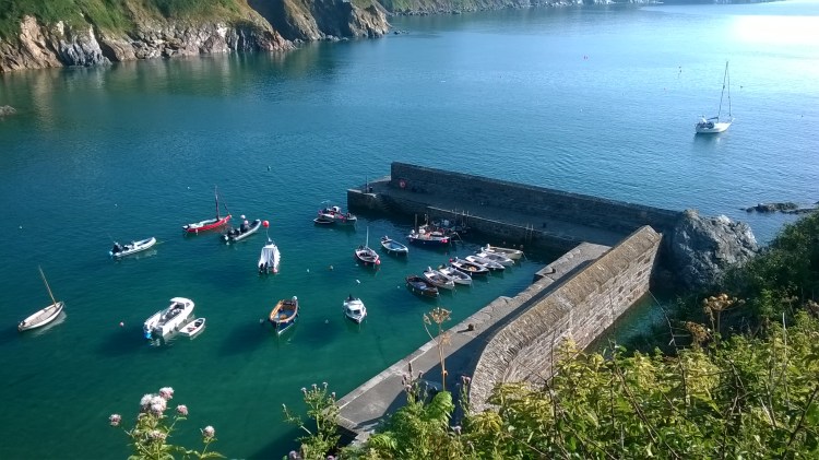 WP_20180714_08_09_35_Pro