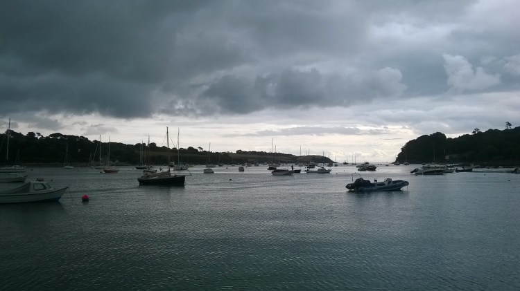 WP_20180727_10_48_46_Pro