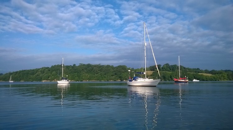 WP_20180902_08_36_16_Pro