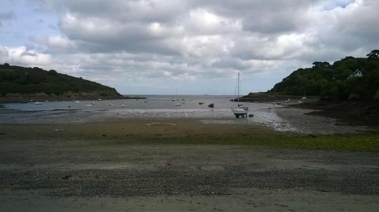 WP_20180910_12_51_15_Pro