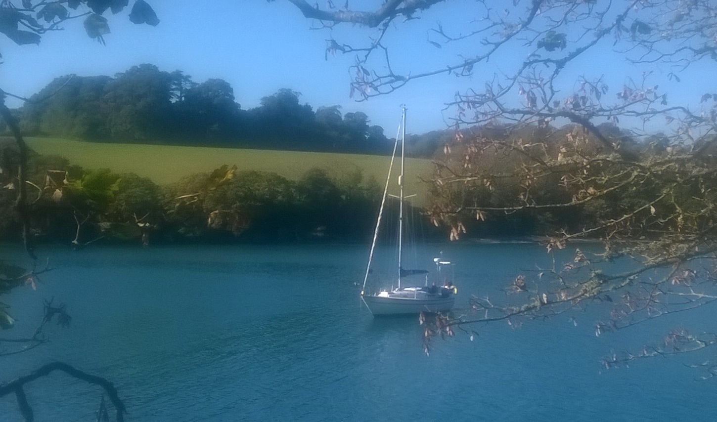 WP_20181020_13_23_27_Pro