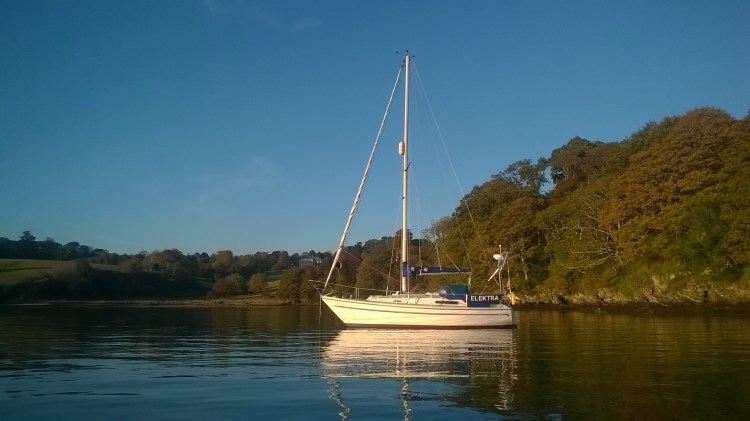 WP_20181020_17_24_48_Pro