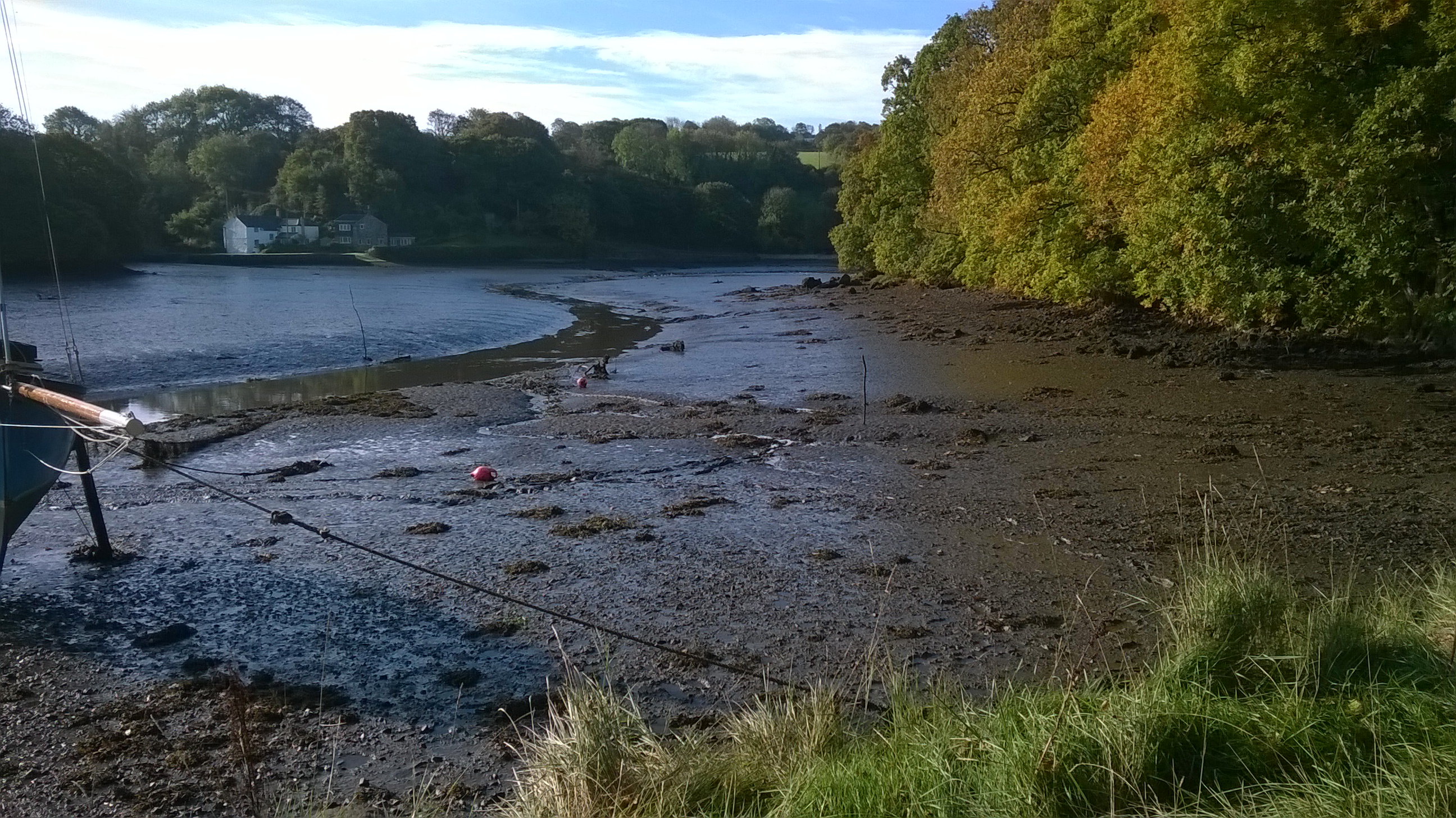 WP_20181023_10_21_12_Pro