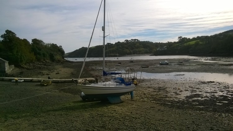 WP_20181023_12_14_33_Pro