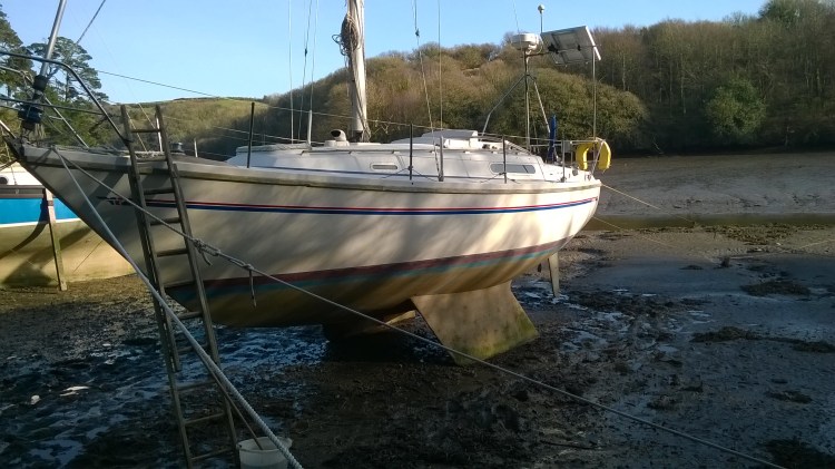 WP_20190221_15_17_11_Pro