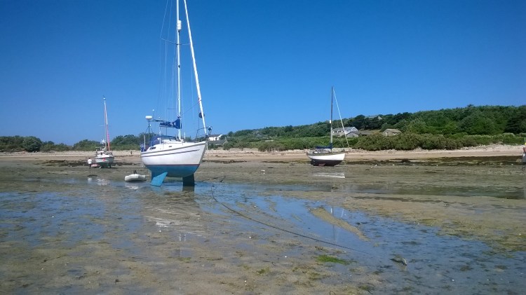 WP_20180628_10_34_59_Pro