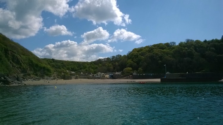 WP_20190505_10_52_18_Pro