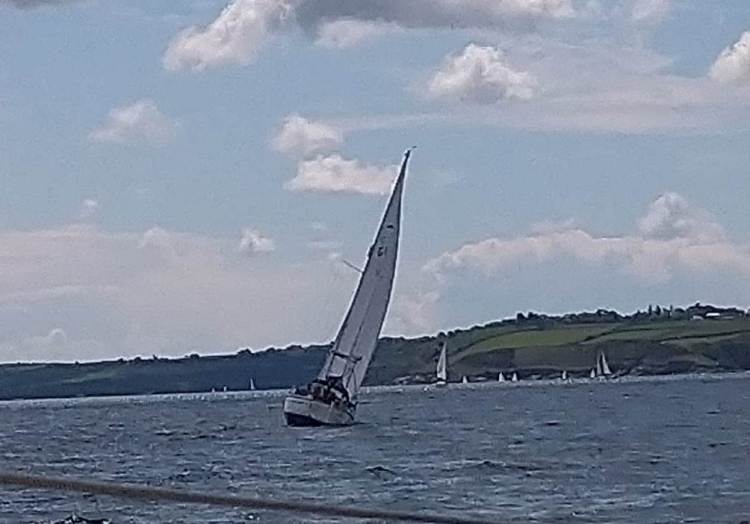 62057202_467654837335805_7820040886485516288_o