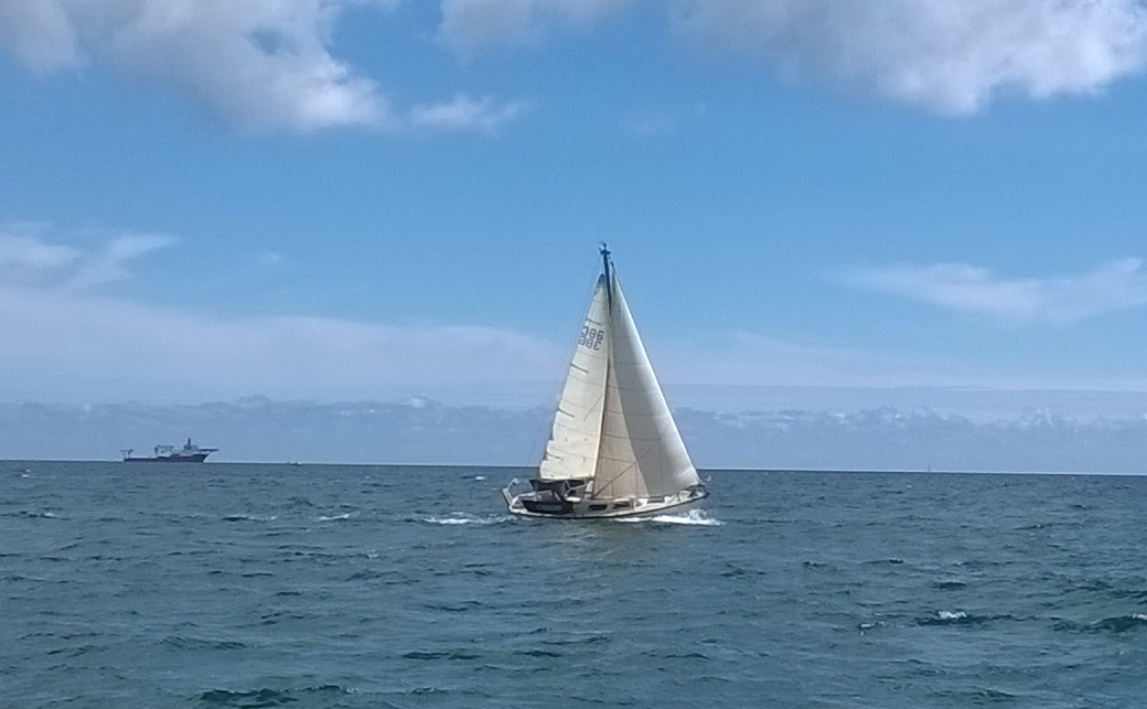 WP_20190609_14_34_15_Pro