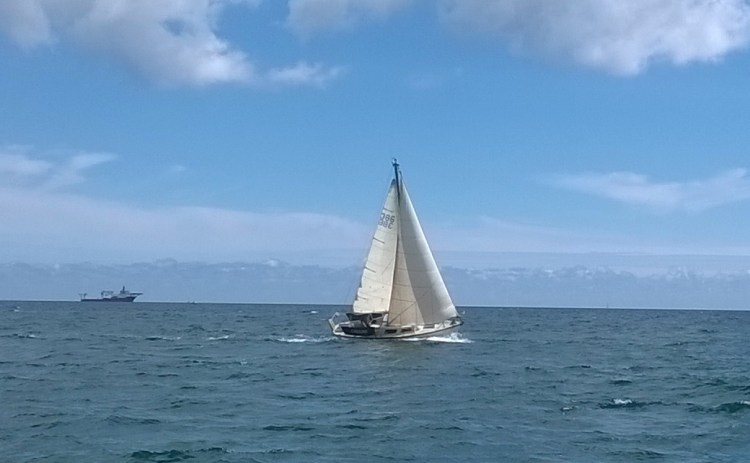 WP_20190609_14_34_15_Pro