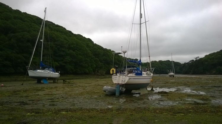 WP_20190629_10_35_58_Pro