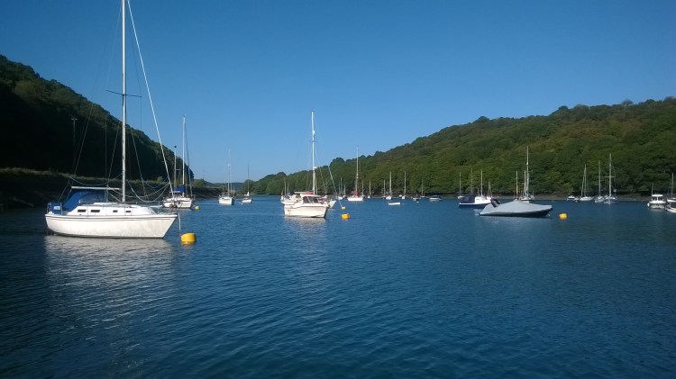 WP_20190918_15_36_49_Pro