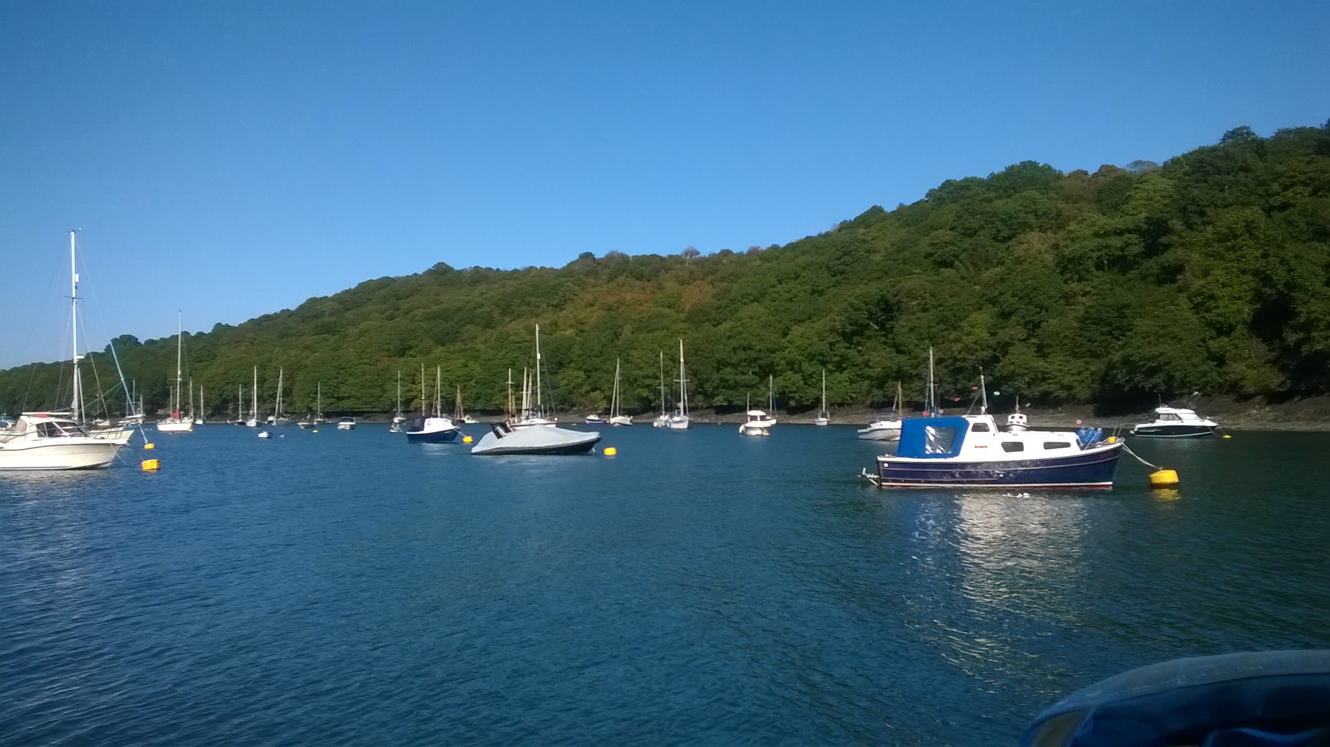 WP_20190918_15_37_23_Pro